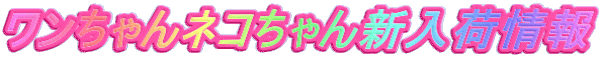 ワンちゃんネコちゃん新入荷情報